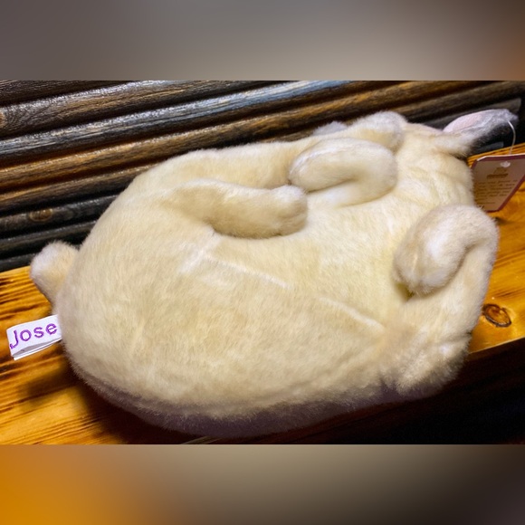 CUDDLE CLONES CHIHUAHUA - Picture 8 of 9